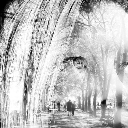 Photographer Donna Cormier  MA United States
